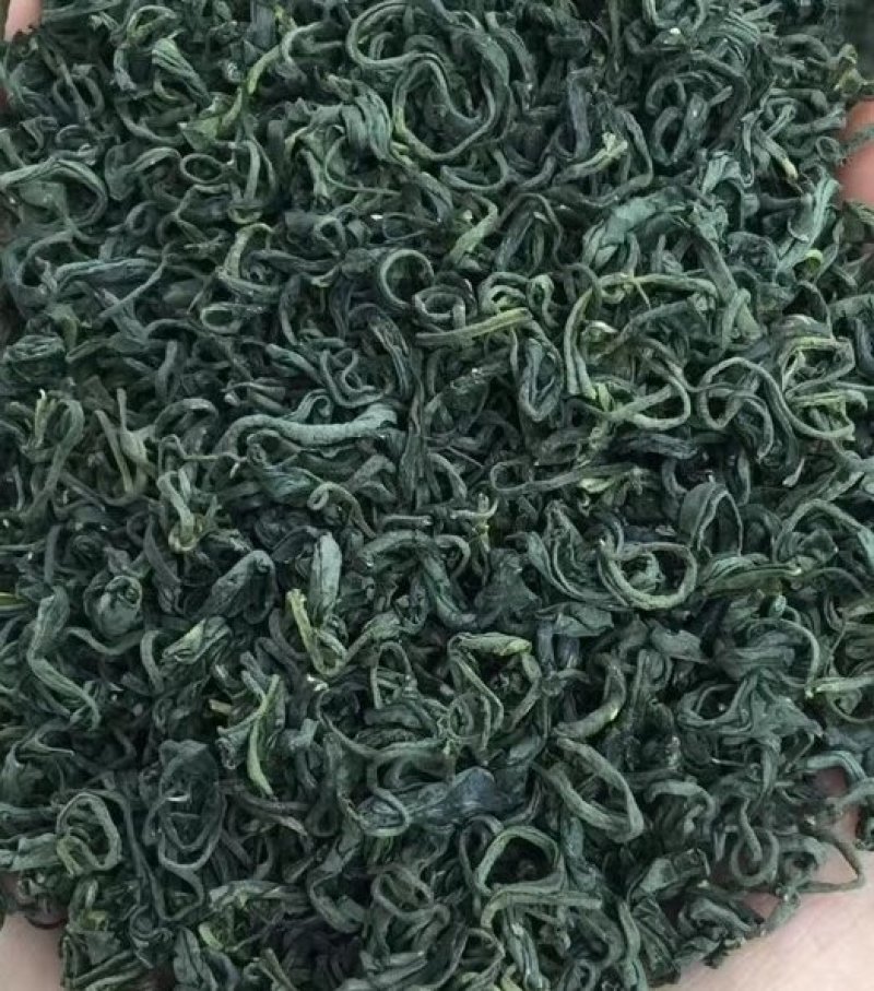 鞠坤茶业~松阳绿茶