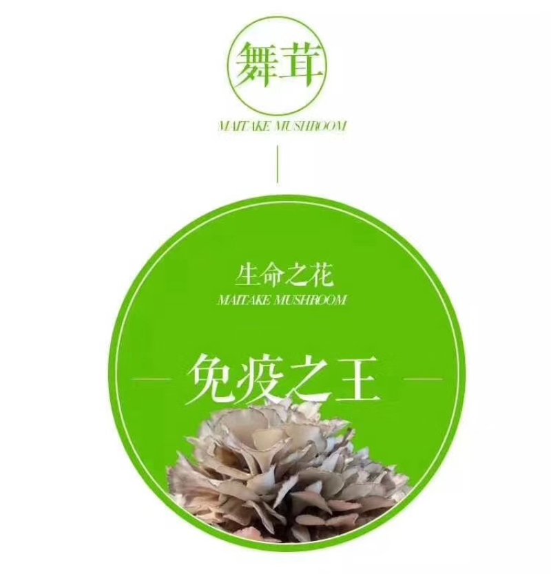 食用菌庆元灰树花干货舞茸栗蘑无泥沙