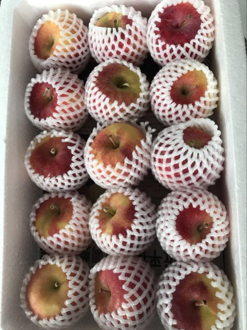 苹果60mm以上纸+膜袋
