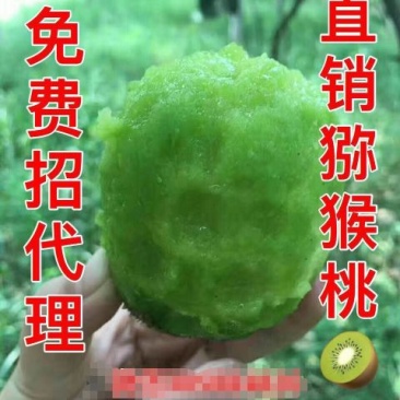 出售猕猴桃