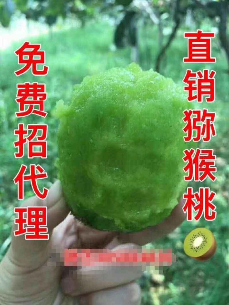 出售猕猴桃
