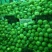 甘肃靖远绿甘蓝绿甘蓝&圆包菜