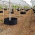 专用控根器植树袋快速种植育苗控根器容器围植排水板