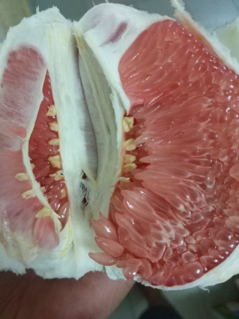 琯溪蜜柚