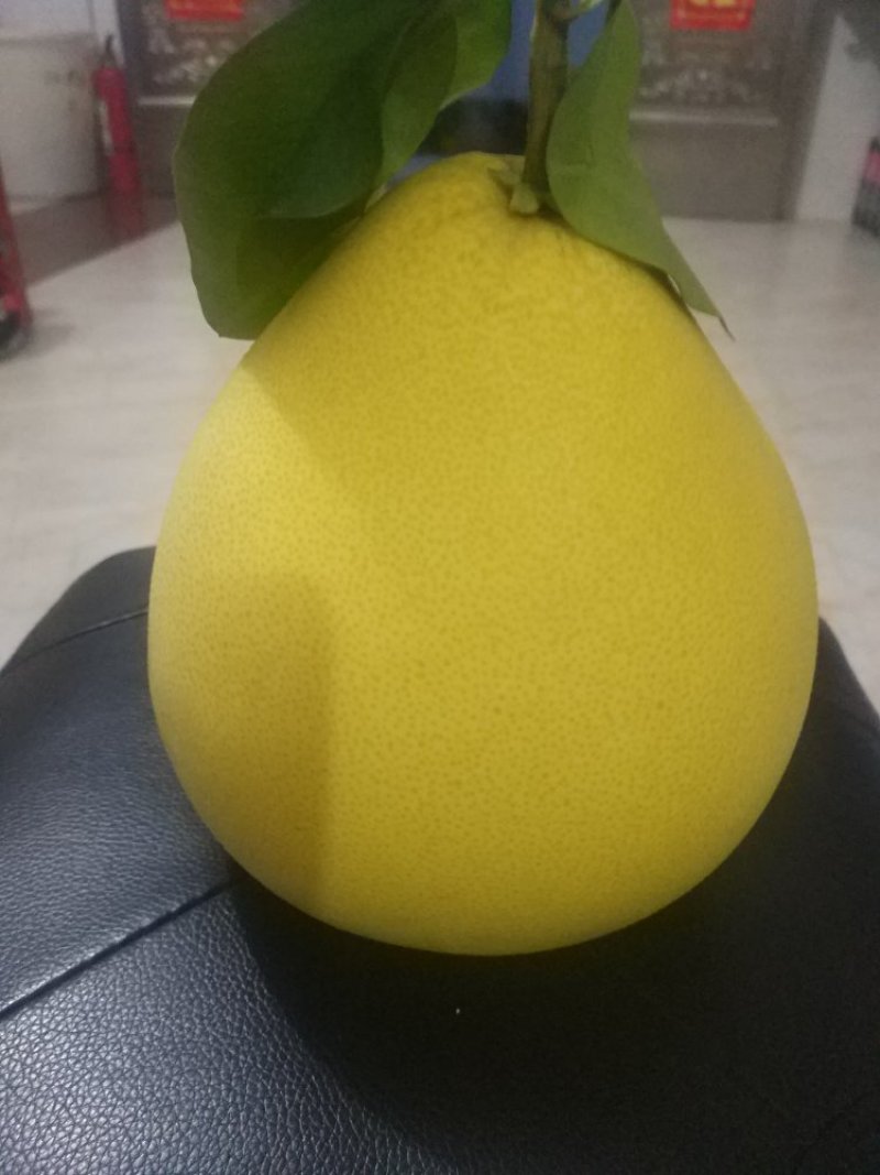 琯溪蜜柚