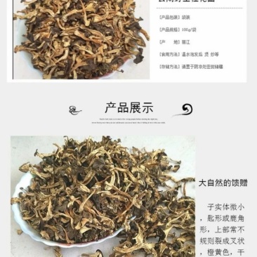 桂花菌，俗称（金丝菌）各个地方名称不同，