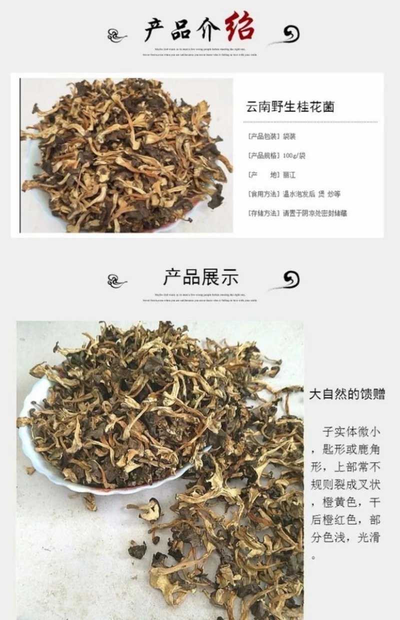 桂花菌，俗称（金丝菌）各个地方名称不同，