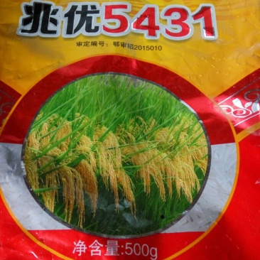 晚稻香米更好吃20斤袋装
