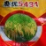 晚稻香米更好吃20斤袋装
