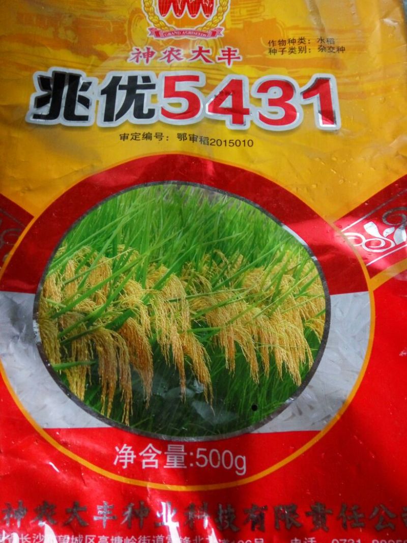 晚稻香米更好吃20斤袋装