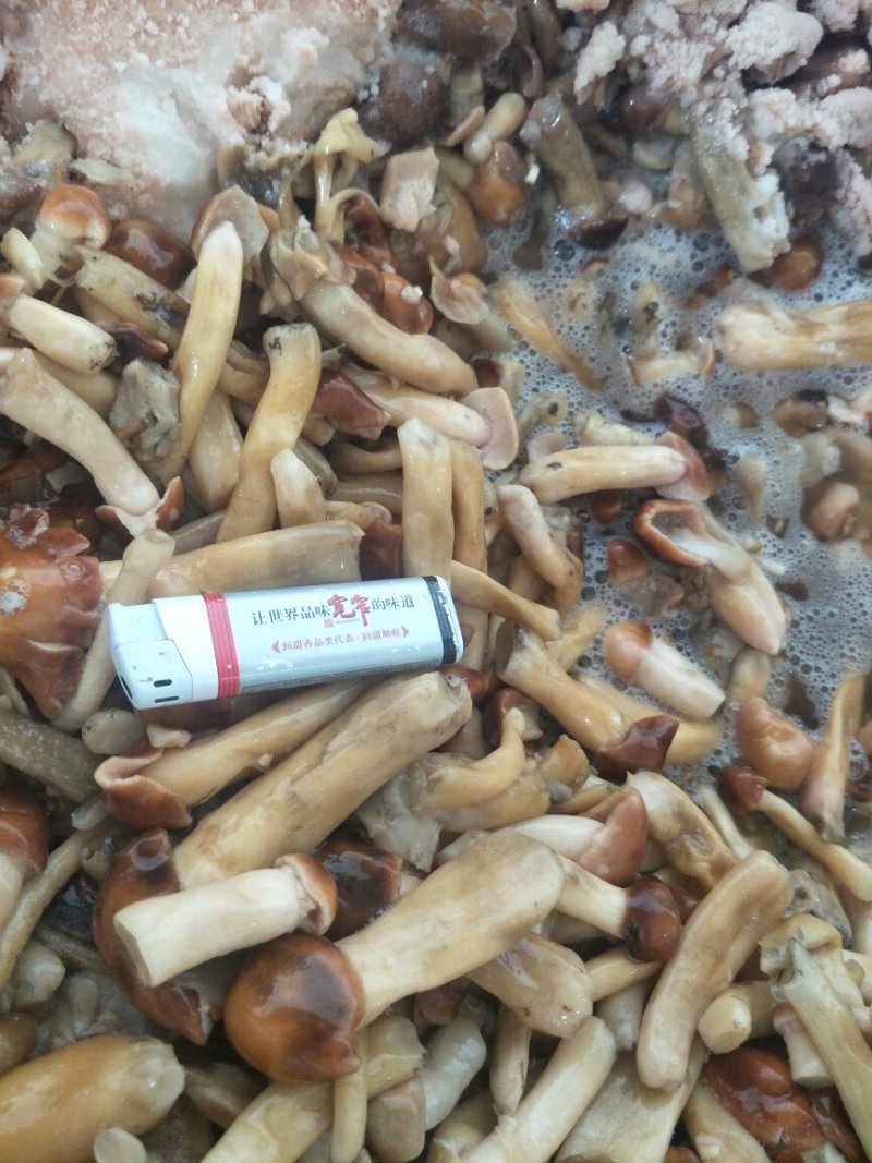 大球盖盐水菇