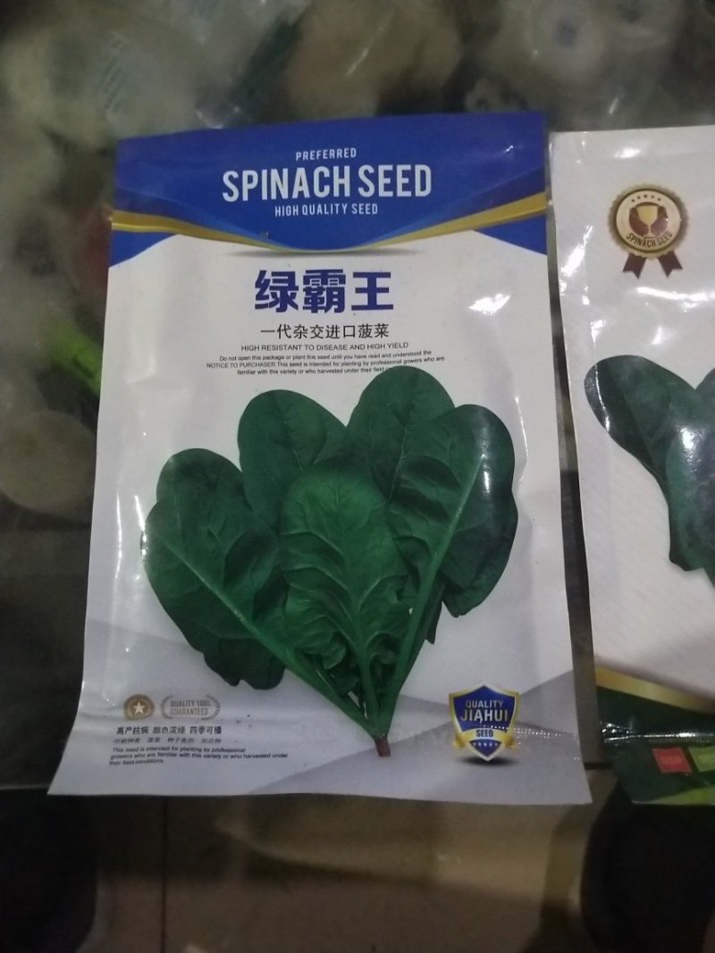 绿霸王菠菜籽
