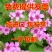 红三叶种子净籽10到15斤/亩五斤包邮