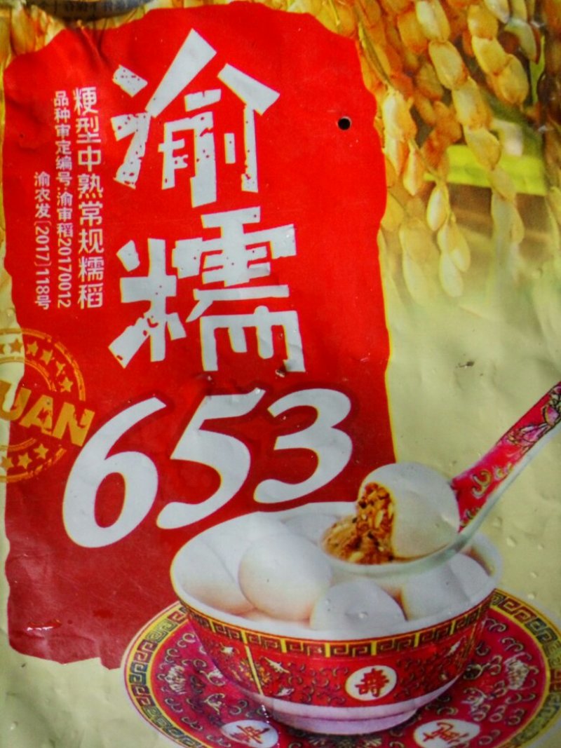 圆糯米半有机种植