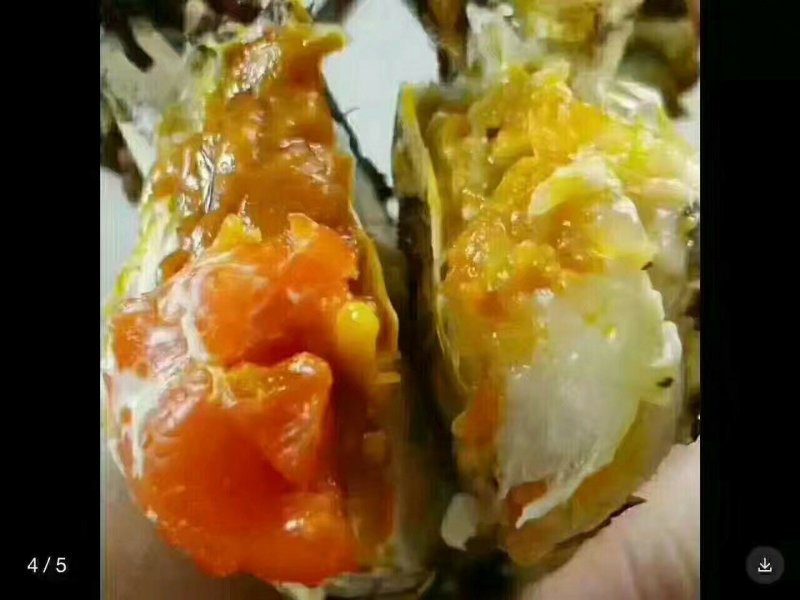 河蟹