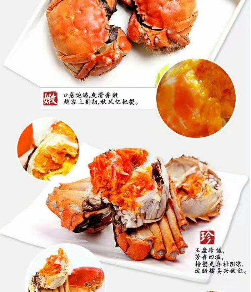 河蟹