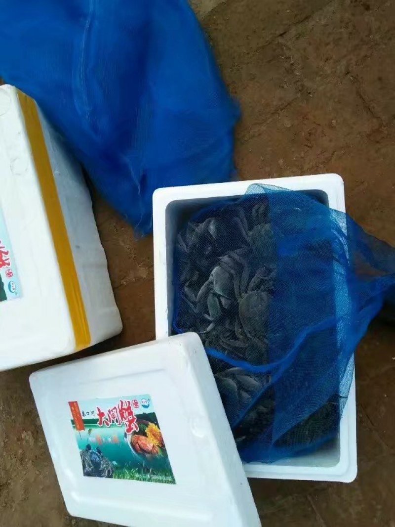 河蟹