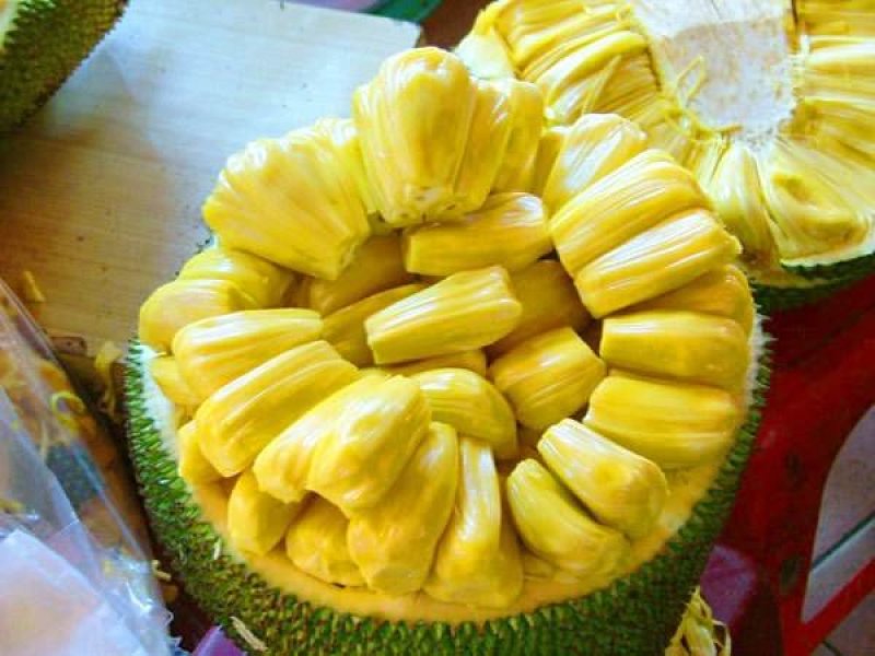 马来西亚一号菠萝蜜四季菠萝蜜泰8菠萝泰国12号红肉菠萝蜜