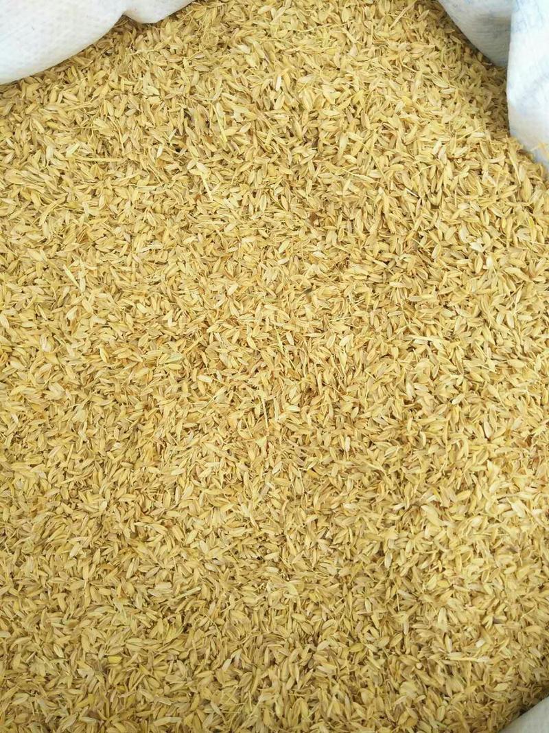 米厂直接供应除尘散装稻壳，二比除尘玉土无尘