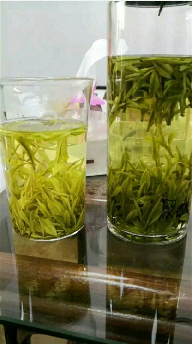 安吉白茶