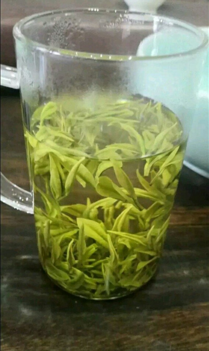 安吉白茶