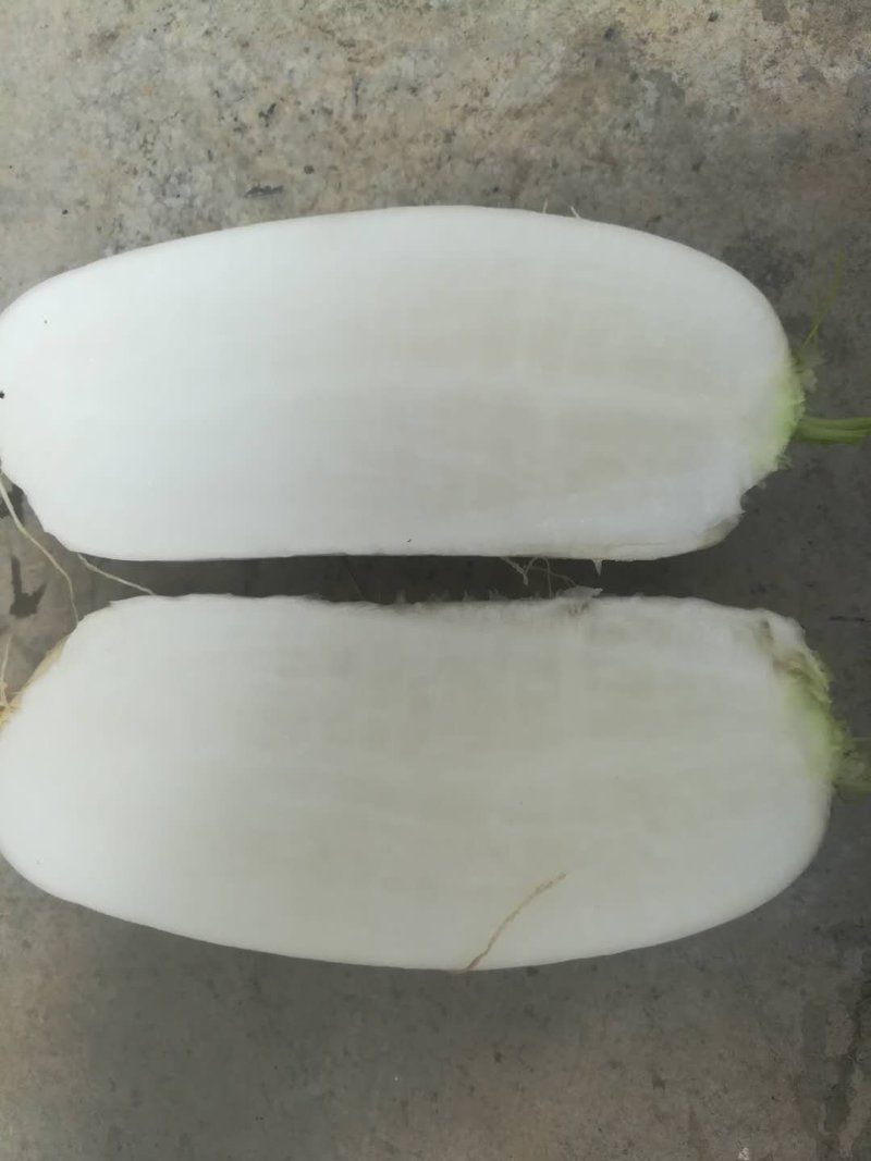 白萝卜，优良品种，条形好，纯白，收尾佳