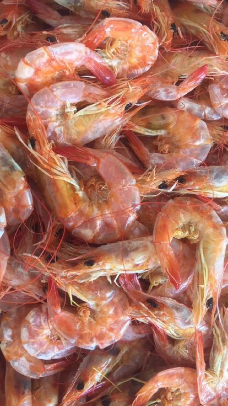 琵琶虾冰鲜虾