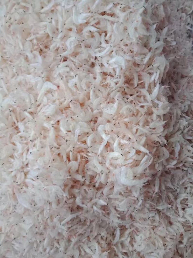 琵琶虾冰鲜虾