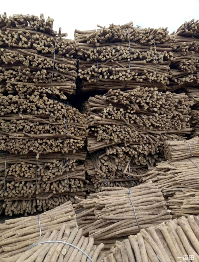 长白山野生黄芪一斤起卖包邮产地直供当天发货