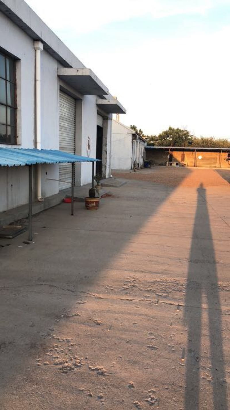 虾干一级