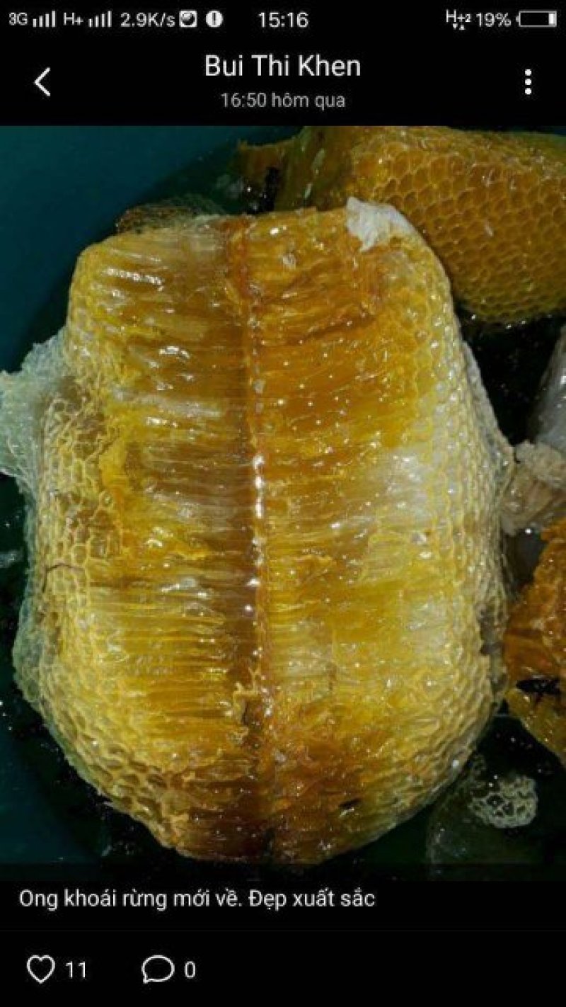 野生蜂蜜
