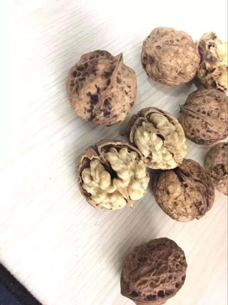 薄皮核桃