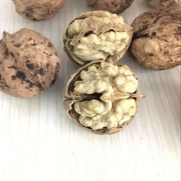薄皮核桃