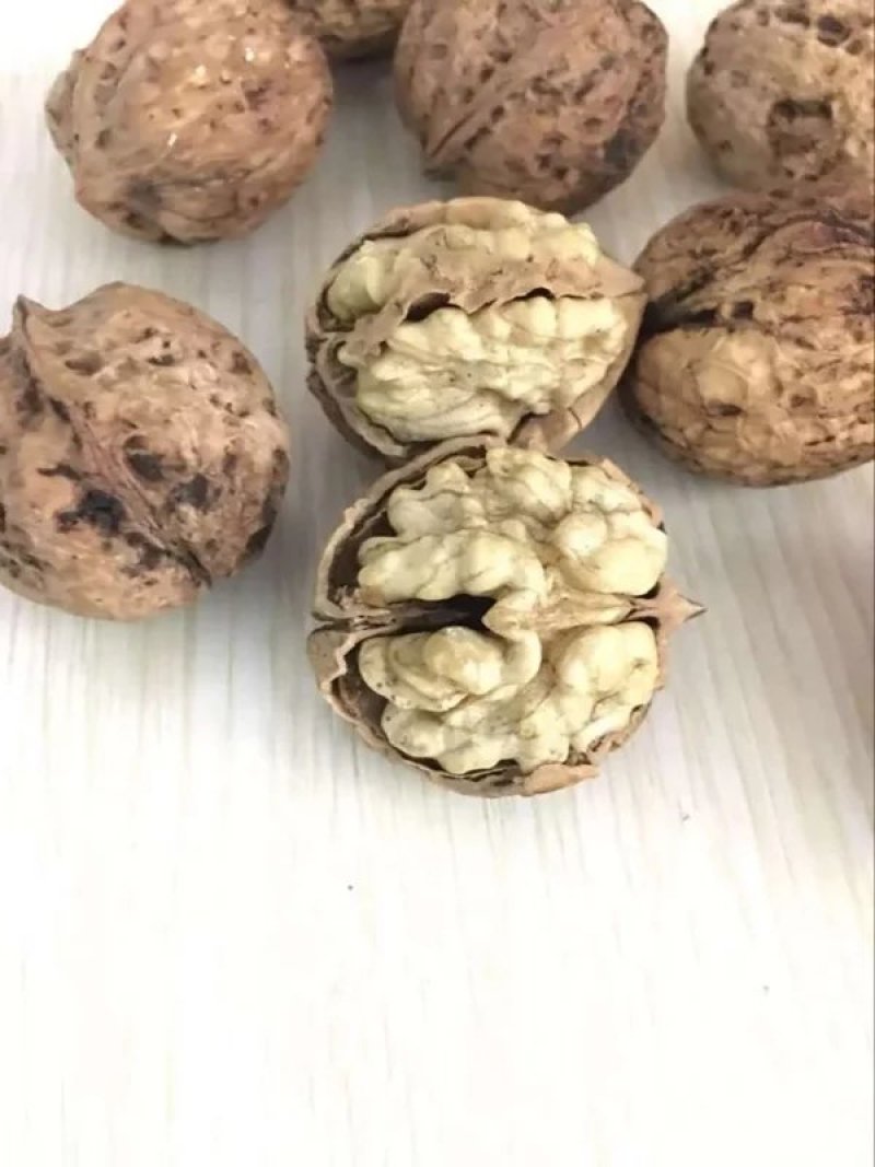 薄皮核桃