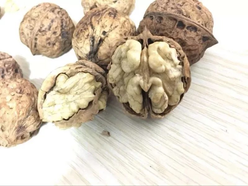 薄皮核桃