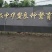 外塘甲鱼苗野生甲鱼苗