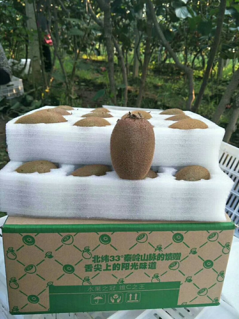 翠香猕猴桃、口感很好。
