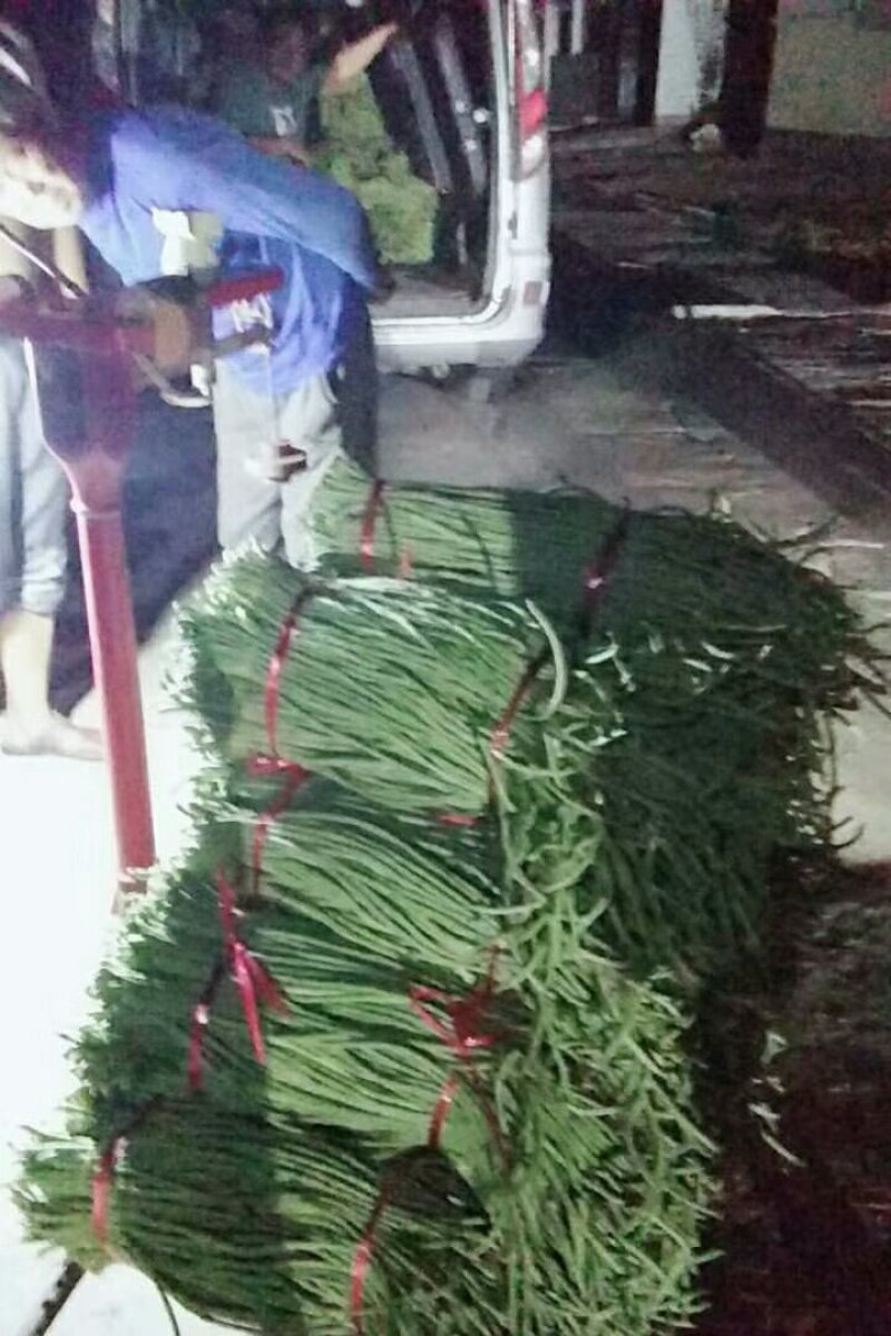 豆角豇豆绿色食品大量走货豆角产地货源稳定