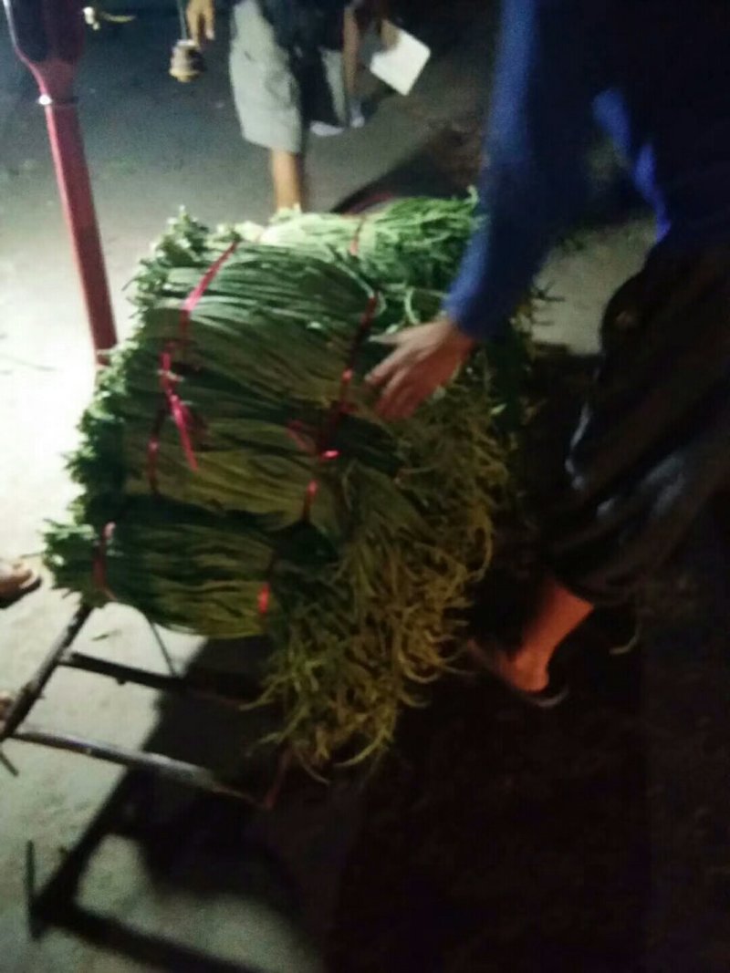 豆角豇豆绿色食品大量走货豆角产地货源稳定