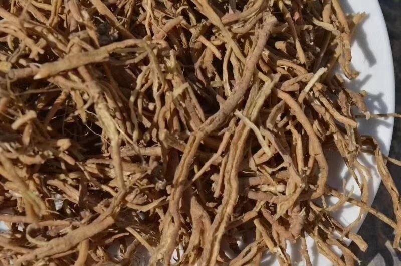 远志棍远志筒远志肉