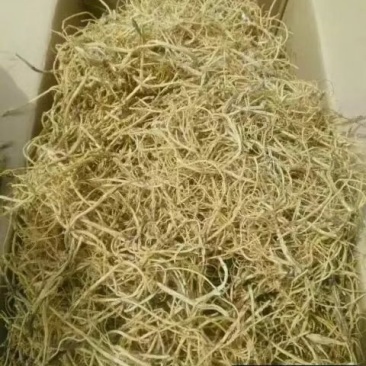 野生内蒙水洗麻花小秦艽