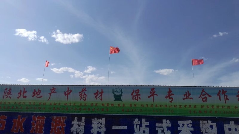 远志棍远志筒远志肉