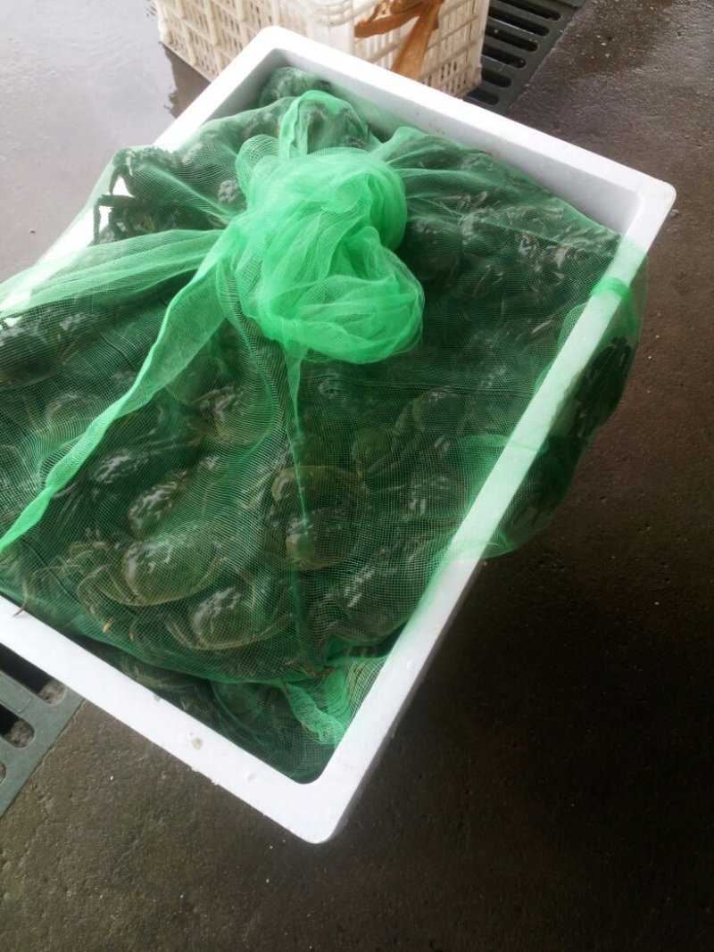 大闸蟹
