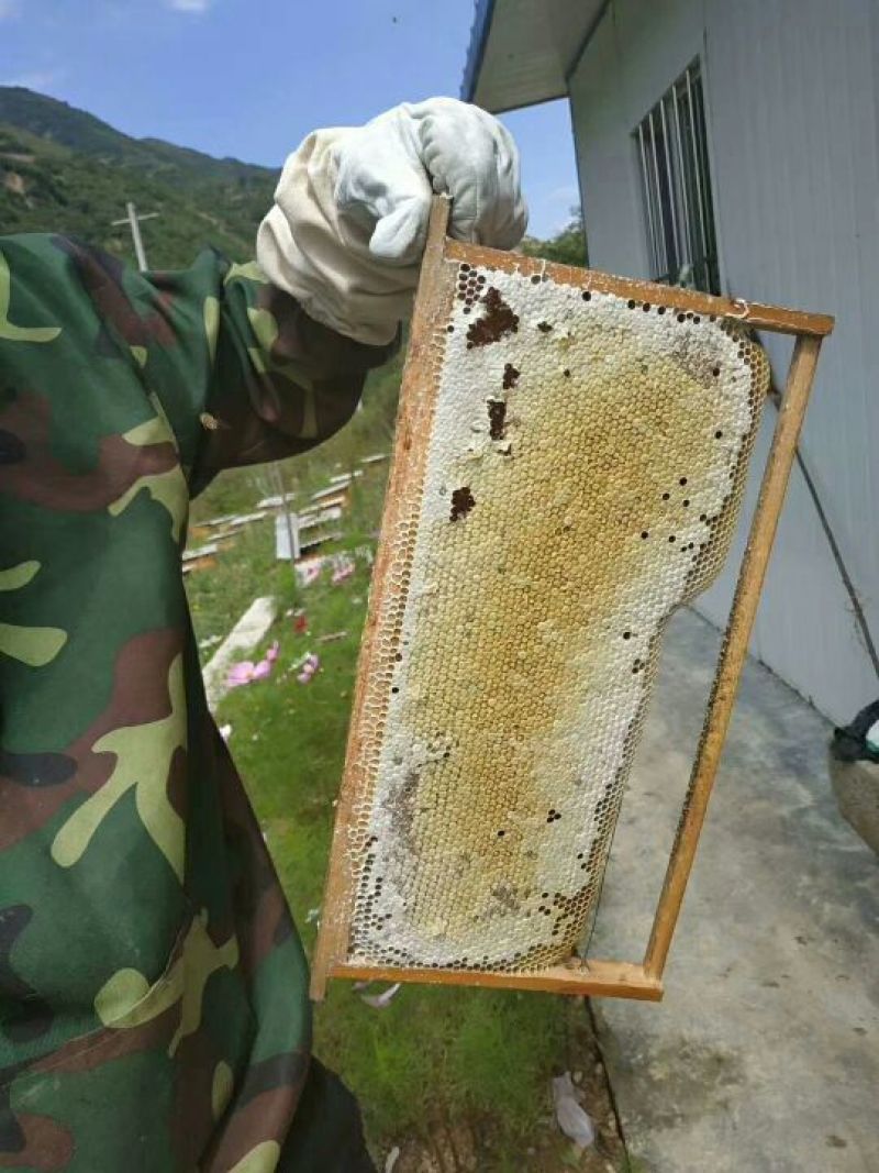 苹果蜂蜜
