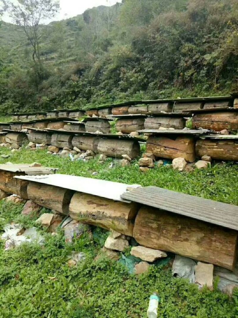 苹果蜂蜜