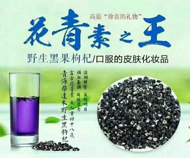 瓜州黑枸杞