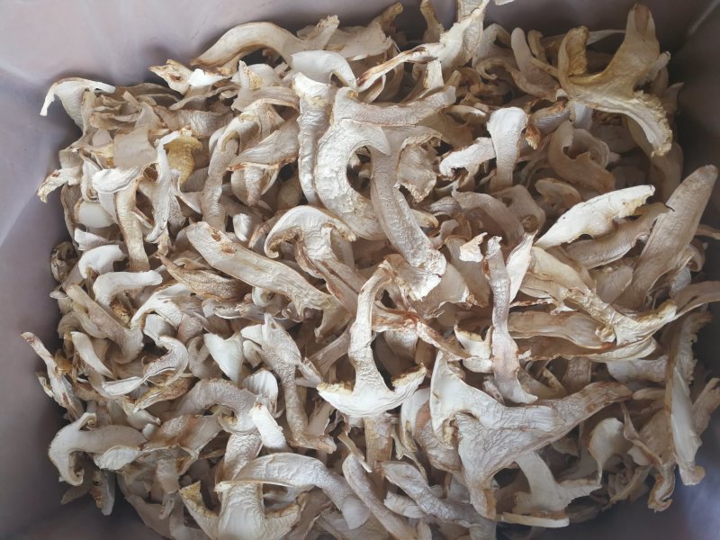 野生菌