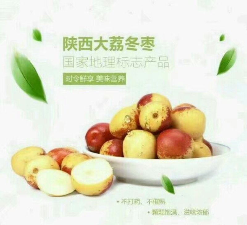 陕西大荔冬枣