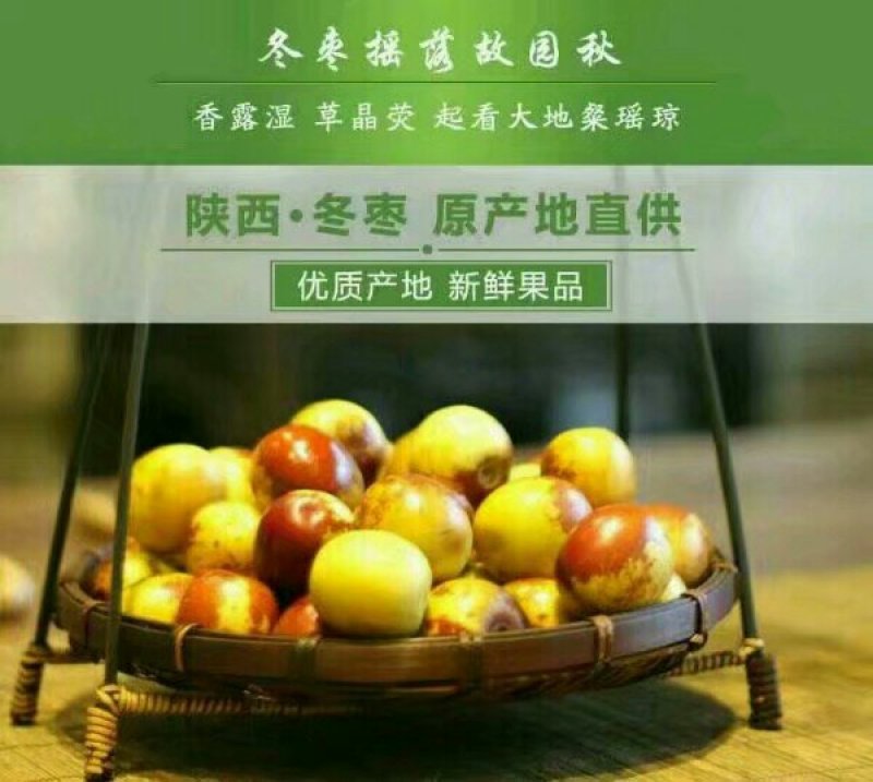 陕西大荔冬枣