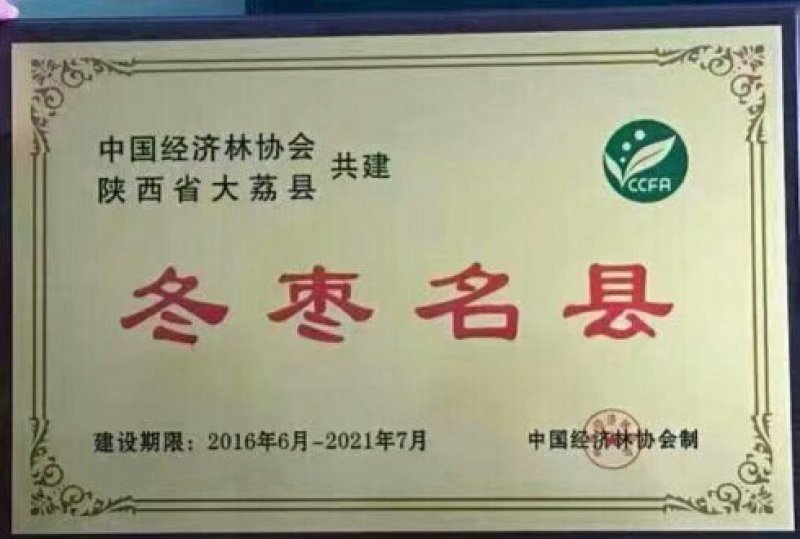 陕西大荔冬枣